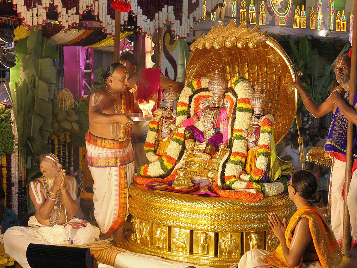 Tirumala Pedda Sesha Vahanam of Srivari Salakatla Brahmotsavams3