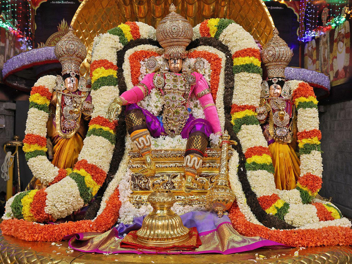 Tirumala Pedda Sesha Vahanam of Srivari Salakatla Brahmotsavams6