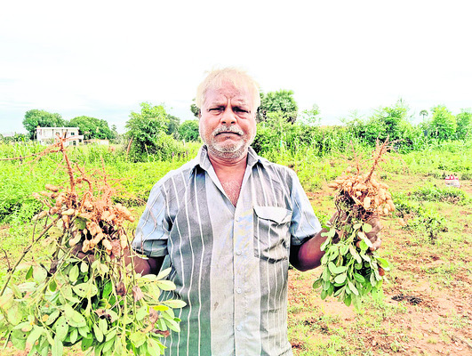 కాయకష్టమే!1