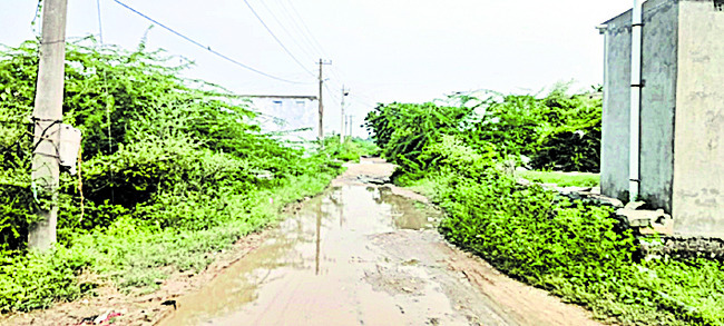 పల్లెల్లో పడకేసిన 1