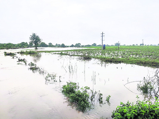 పోటెత్తిన గోదావరి1