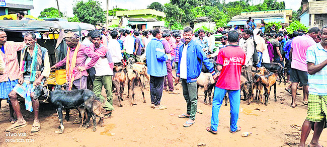 పండగొచ్చింది3