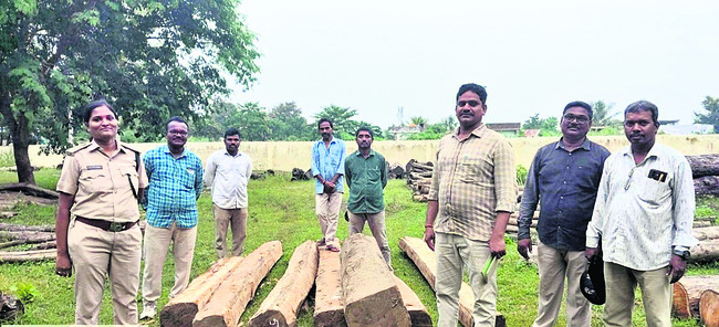 కలప పట్టివేత 1