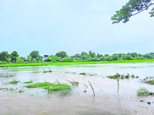 జోరు వాన.. పారిన వరద 1