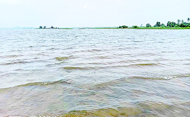 వీధి వ్యాపారులకు స్కానర్లు 1