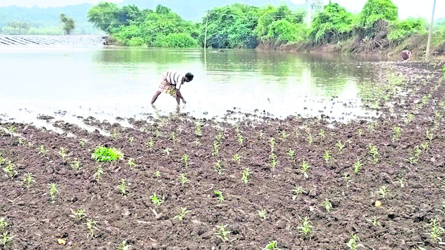 గోదారమ్మ ఉరకలు1