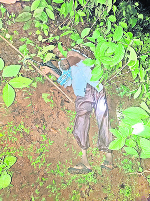 వన్యప్రాణుల దాడిలో భార్యాభర్తలు మృతి!3