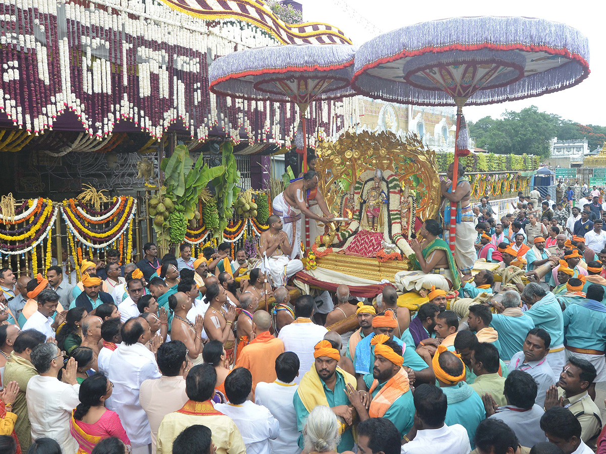Sri Malayappa in Rajamannar Alankaram on Kalpavriksha Vahanam1
