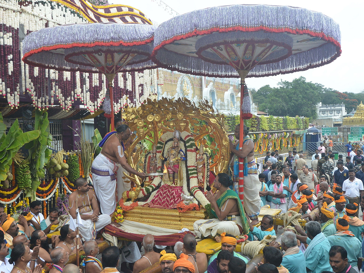 Sri Malayappa in Rajamannar Alankaram on Kalpavriksha Vahanam16