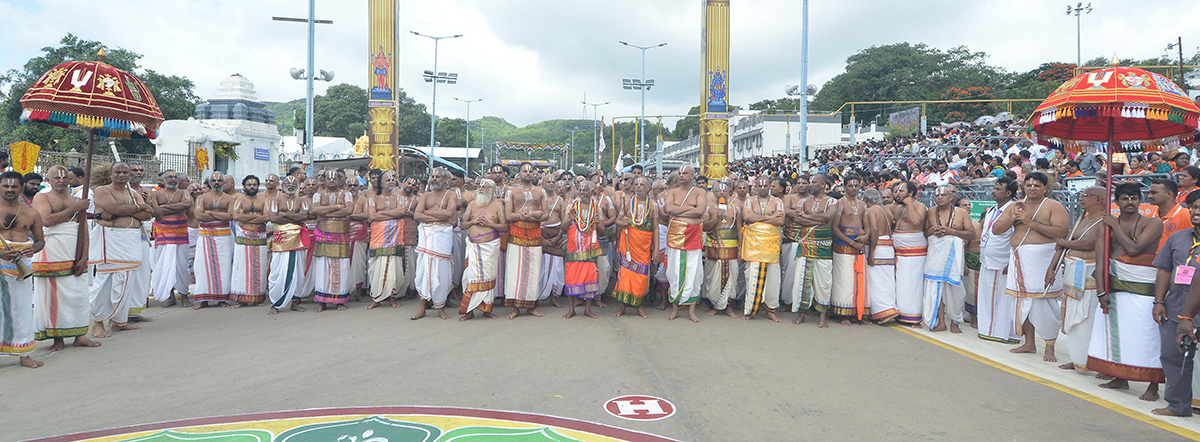 Sri Malayappa in Rajamannar Alankaram on Kalpavriksha Vahanam3