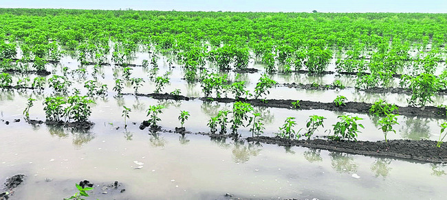 ఉధృతంగా పారుతున్న వాగులు 3