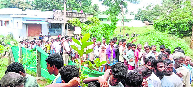 యూరియా కష్టాలు చూడండి ‘బాబూ’.. 1