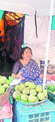 చెట్లు తగ్గి ధరలు పెరిగాయి..1