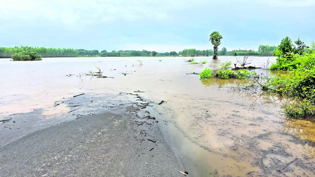 దారులన్నీ ఏరులై. .
7