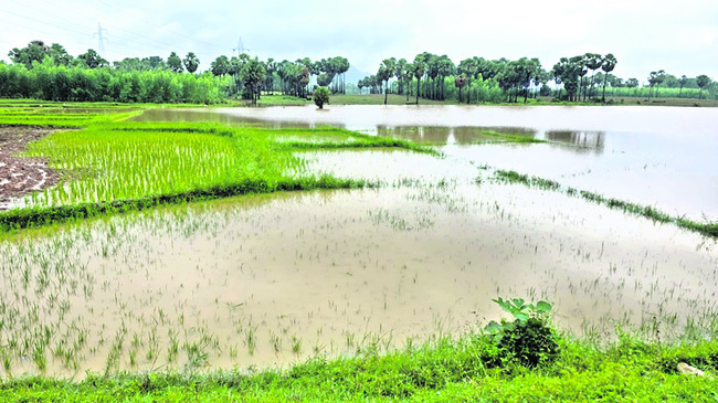 దారులన్నీ ఏరులై. .
8