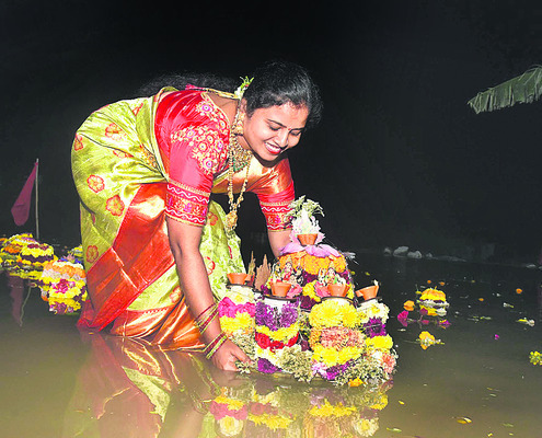 మూలవాగు మురిసింది3