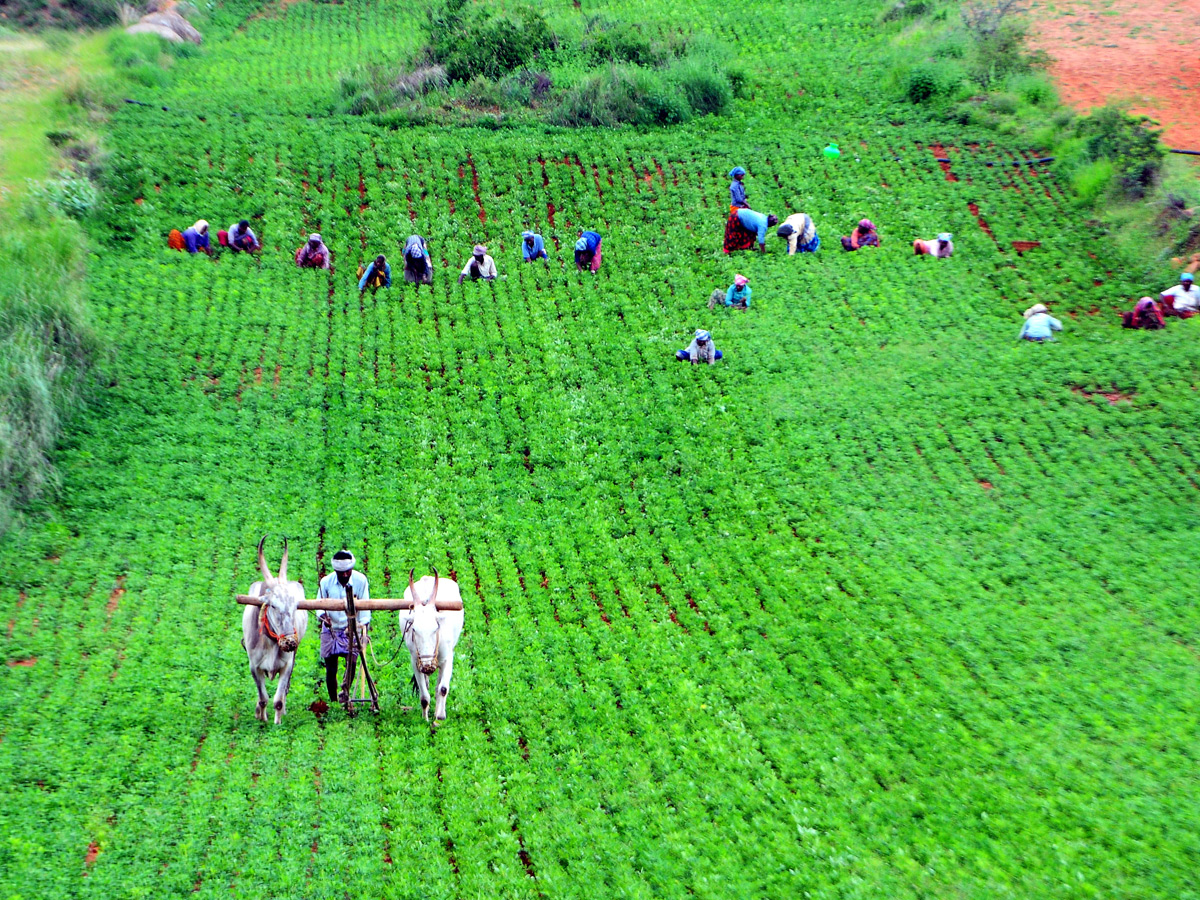 Best Photos of The Week in AP and Telangana Photo Gallery2