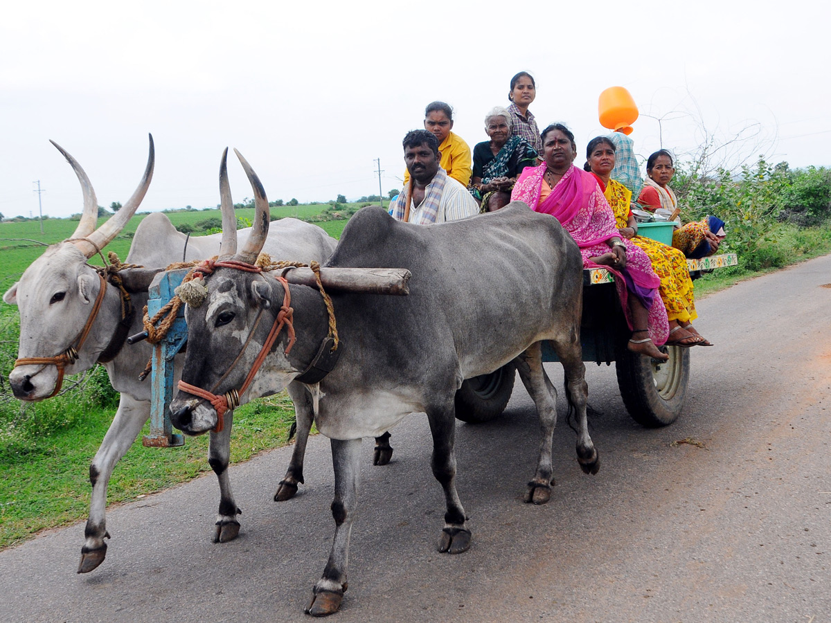 Best Photos of The Week in AP and Telangana Photo Gallery3