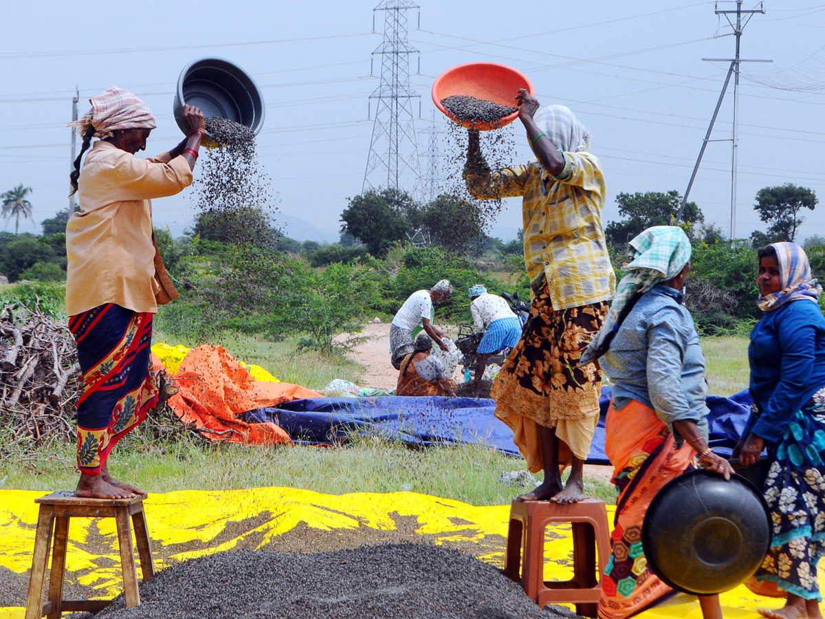 Best Photos of The Week in AP and Telangana Photo Gallery4