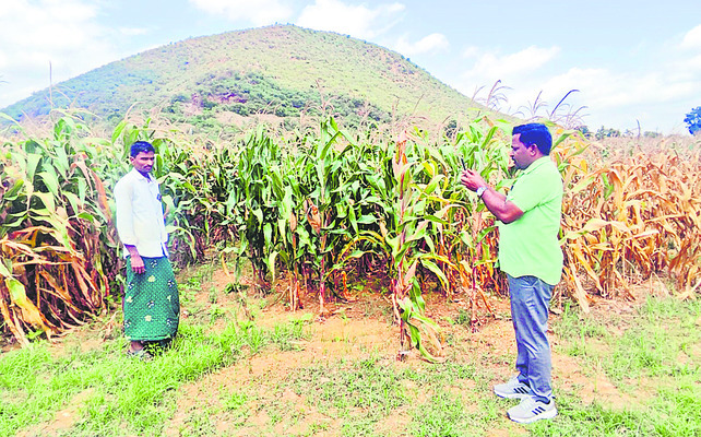 ఈ–క్రాప్‌ గగనమే1