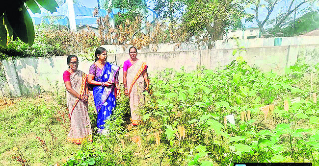 సంపూర్ణ పౌష్టికాహారమే లక్ష్యం1