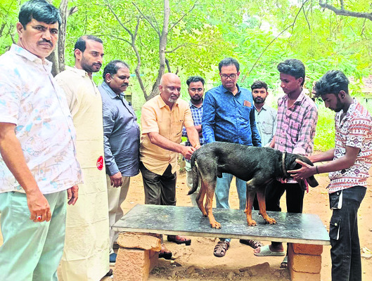 పర్యావరణ పరిరక్షణ  అందరి బాధ్యత1