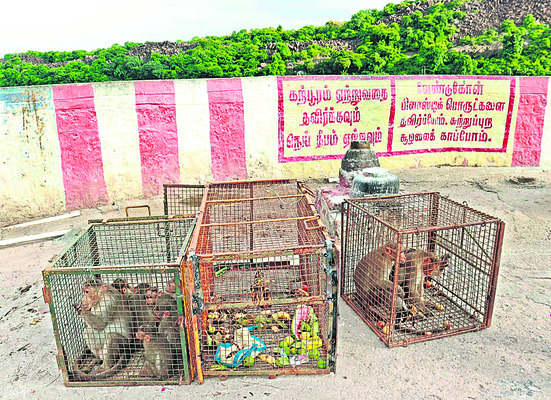 క్లుప్తంగా1