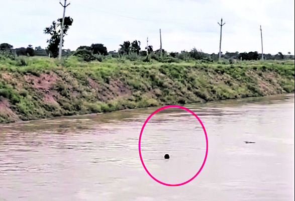 ప్రాణాలు కాపాడిన యువకులు 1
