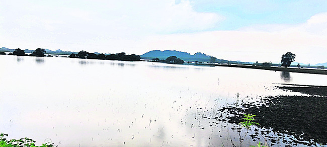 గోదారి దోబూచులాట1