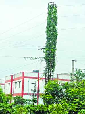గుడుంబా స్వాధీనం  
3