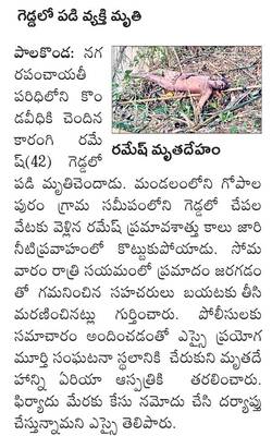 పుష్పాలంకరణలో పైడితల్లి1