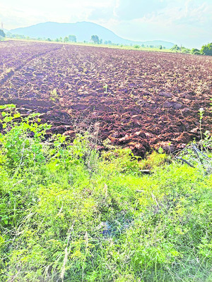 కలెక్టర్‌ ఉత్తర్వులనూ లెక్కచేయం..! 1