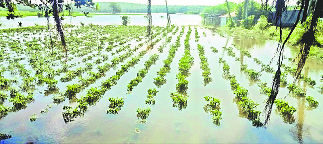 పొంగి పొర్లుతున్న చంద్రమ్మ కయ్య  1