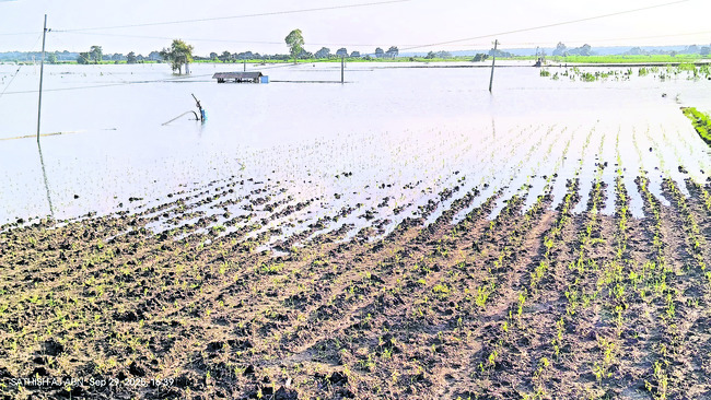 పెరుగుతున్న గోదావరి.. నిలిచిన రాకపోకలు
1