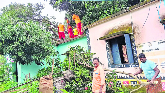 ఇంటిపై కూలిన భారీ వృక్షం 1