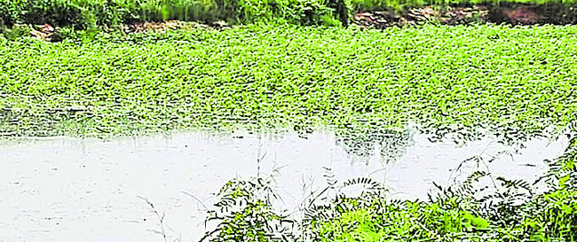 జలదిగ్బంధంలో తండాలు 1