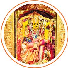 ఆనంద పరవశం 7
