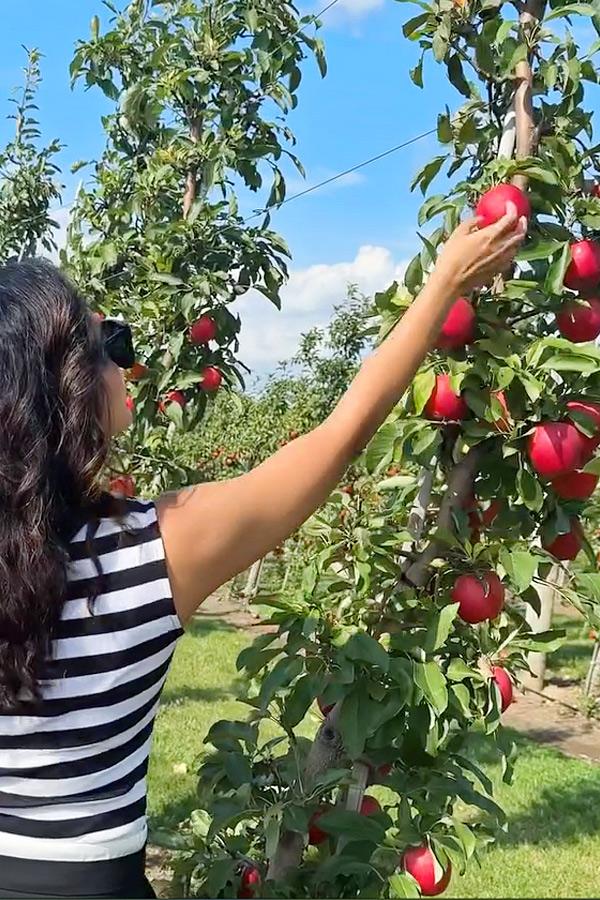 Actress Ritu Varma At Apple Farm Photos6