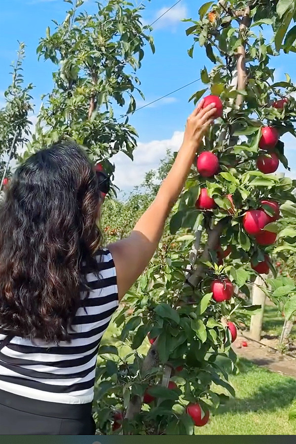 Actress Ritu Varma At Apple Farm Photos7