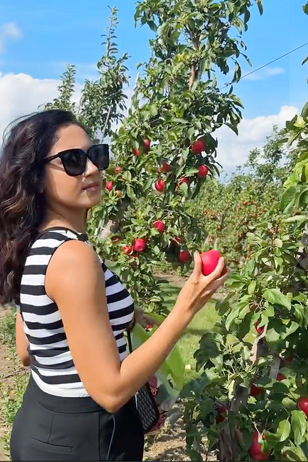 Actress Ritu Varma At Apple Farm Photos8