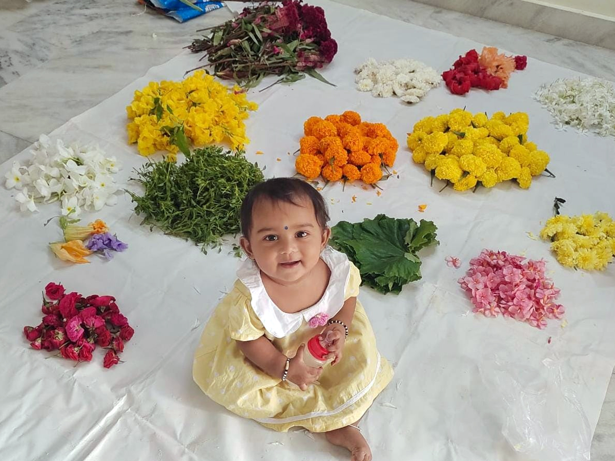 Bathukamma Celebrations In Telangana Set New Record Photos11