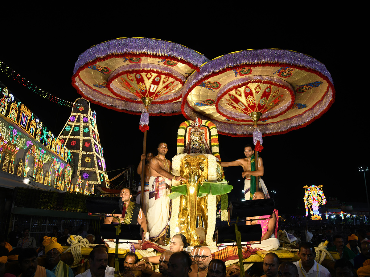 Tirumala Brahmotsavams 2025 at Swarna Ratham Photos14