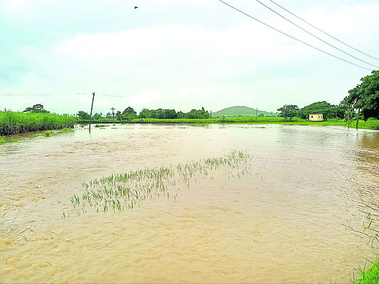 నష్టం అంచనా రూ.58 కోట్లు2