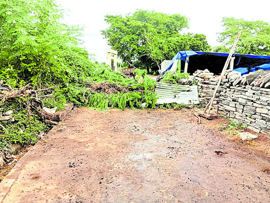 రోడ్లపై అడ్డంగా ముళ్ల కంపలు 1