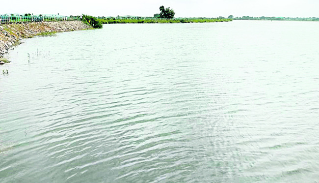 మానీటి గలగల.. ఆయకట్టు కళకళ1