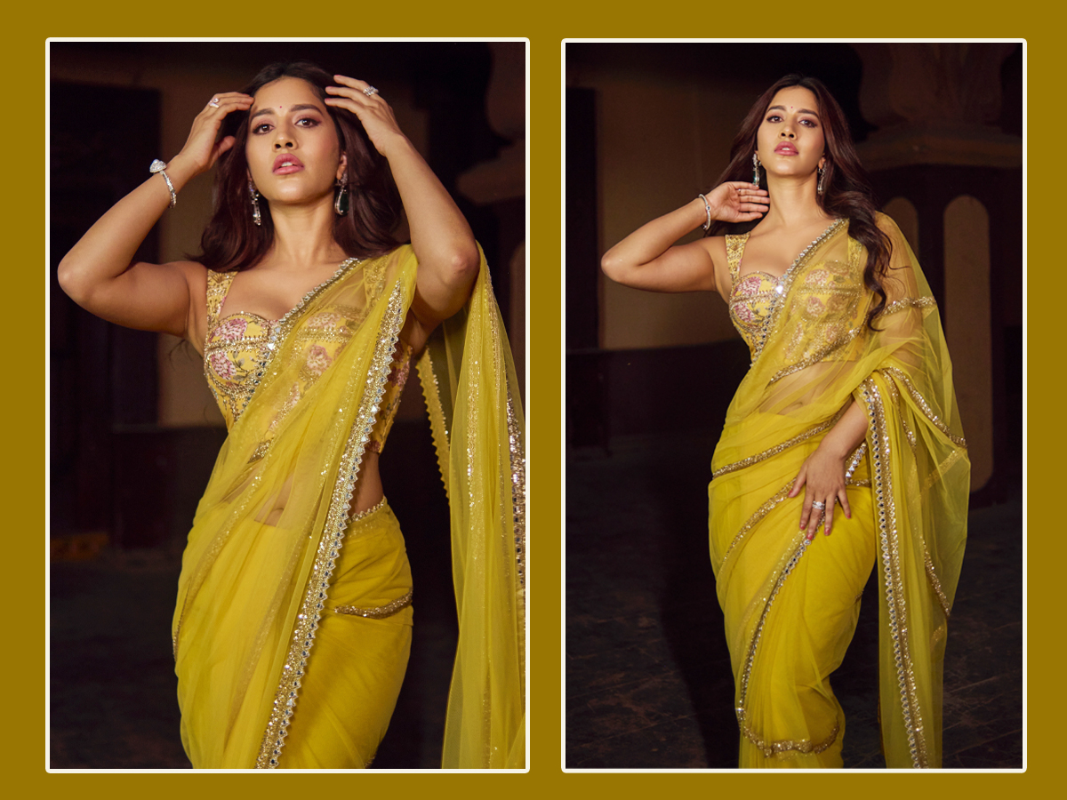 Nabha Natesh looks stunning in a saree with glamour (Photos)1