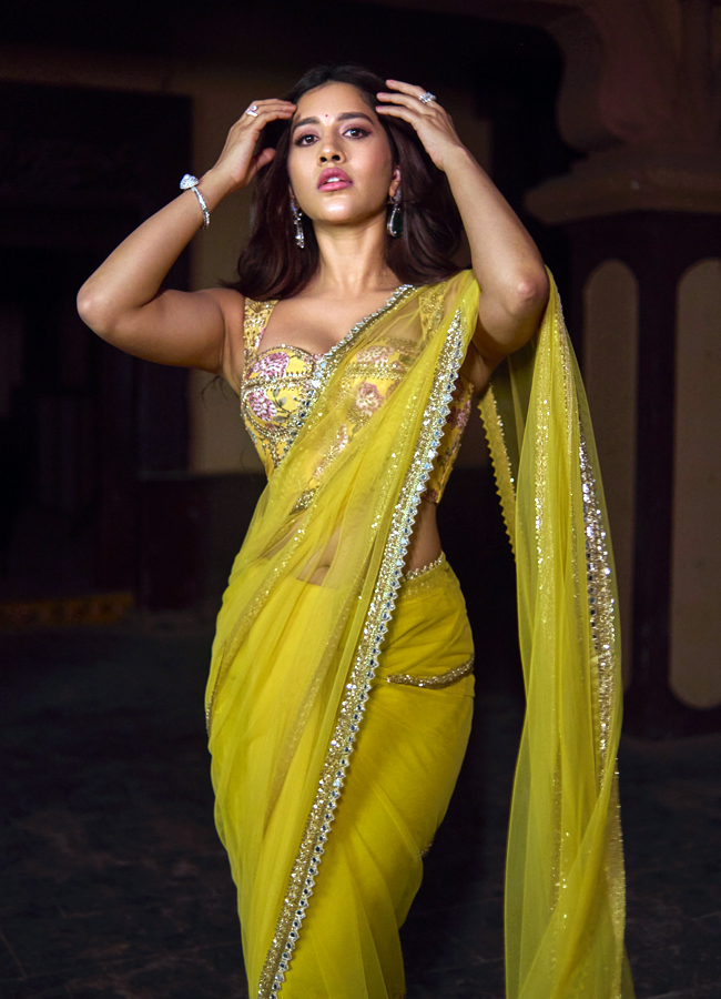 Nabha Natesh looks stunning in a saree with glamour (Photos)3