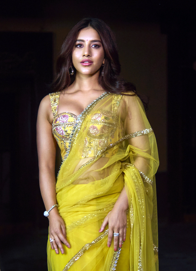 Nabha Natesh looks stunning in a saree with glamour (Photos)5