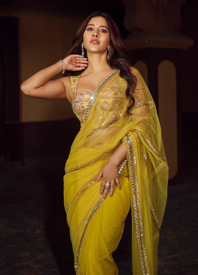 Nabha Natesh looks stunning in a saree with glamour (Photos)6