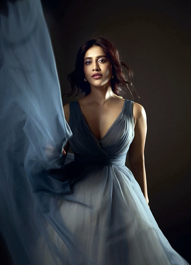 Nabha Natesh looks stunning in a saree with glamour (Photos)9